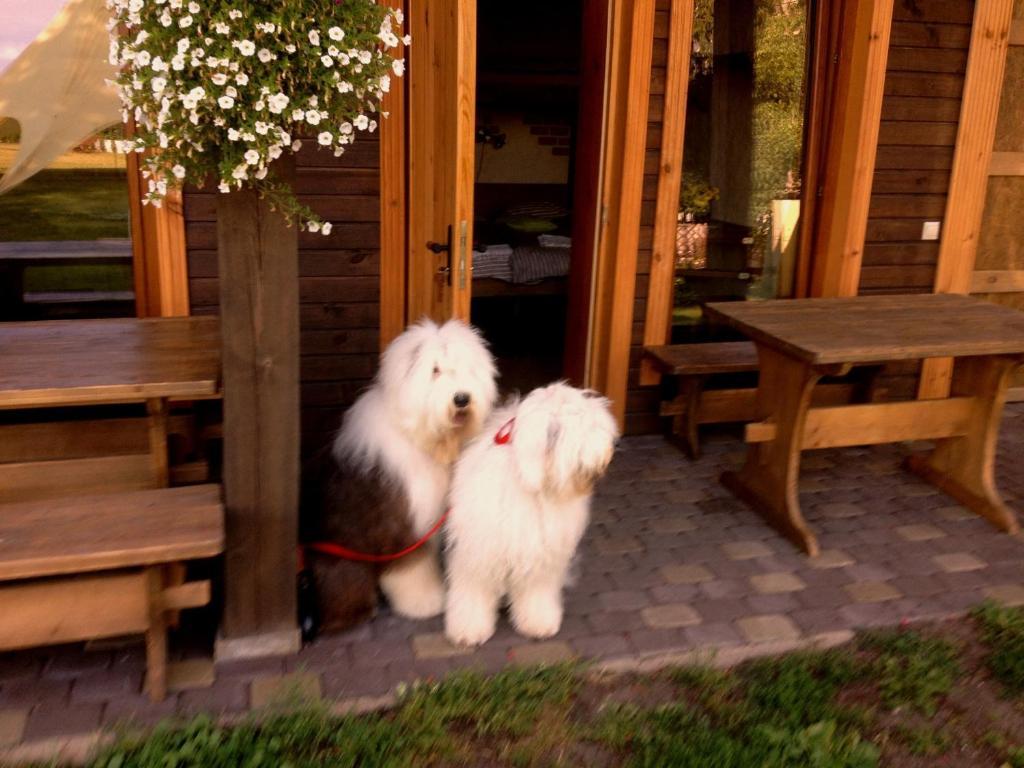 Guest House And Camping ยูร์มาลา ภายนอก รูปภาพ